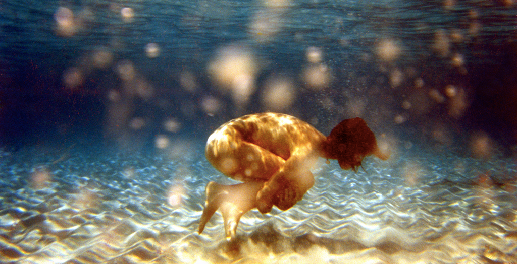 photo by Patricia Iranzo