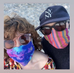 Reversible ARTface 100% Cotton Masks